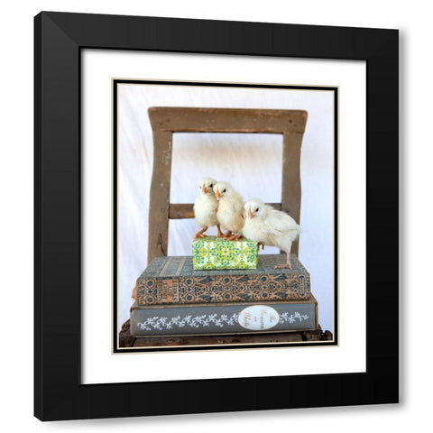 Tania Soderman Books II Black Modern Wood Framed Art Print with Double Matting by Soderman, Tania