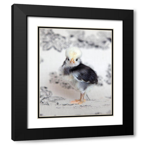 Tulip Black Modern Wood Framed Art Print with Double Matting by Soderman, Tania