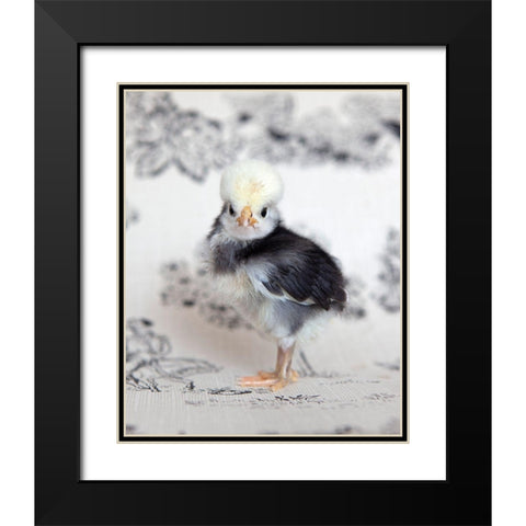 Tulip Black Modern Wood Framed Art Print with Double Matting by Soderman, Tania