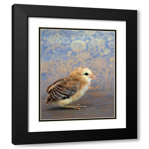 Viola Black Modern Wood Framed Art Print with Double Matting by Soderman, Tania