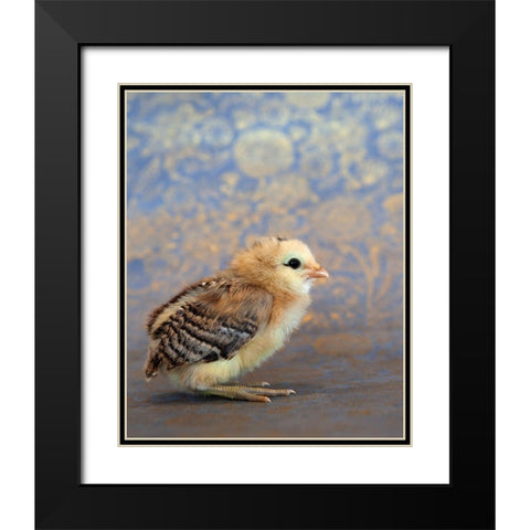 Viola Black Modern Wood Framed Art Print with Double Matting by Soderman, Tania