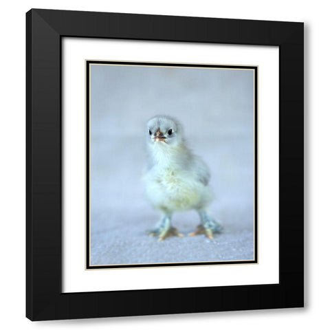 Bluebell Black Modern Wood Framed Art Print with Double Matting by Soderman, Tania