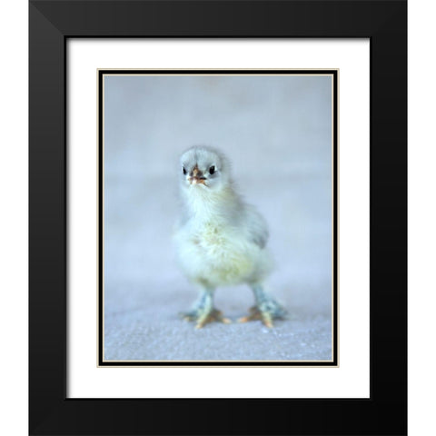 Bluebell Black Modern Wood Framed Art Print with Double Matting by Soderman, Tania