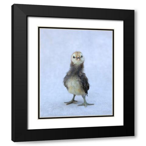 Viva Black Modern Wood Framed Art Print with Double Matting by Soderman, Tania