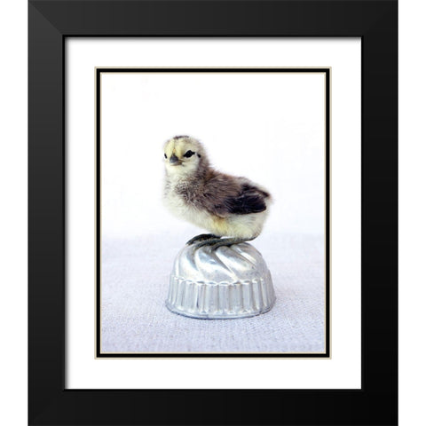 Tiny Baker I Black Modern Wood Framed Art Print with Double Matting by Soderman, Tania