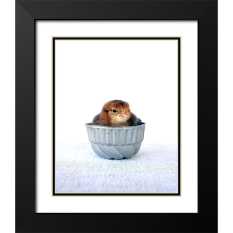 Tiny Baker II Black Modern Wood Framed Art Print with Double Matting by Soderman, Tania