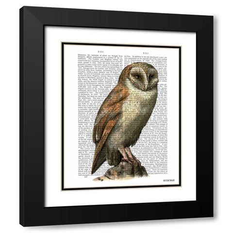 Barn Owl Black Modern Wood Framed Art Print with Double Matting by Fab Funky