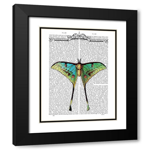 Butterfly 1 Black Modern Wood Framed Art Print with Double Matting by Fab Funky