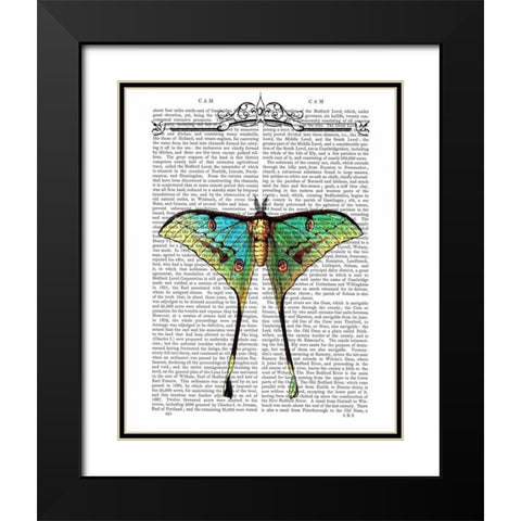 Butterfly 1 Black Modern Wood Framed Art Print with Double Matting by Fab Funky