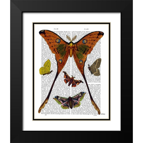 Moth Plate 1 Black Modern Wood Framed Art Print with Double Matting by Fab Funky