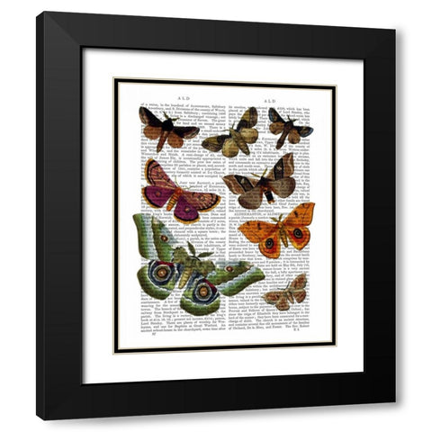 Moth Plate 2 Black Modern Wood Framed Art Print with Double Matting by Fab Funky
