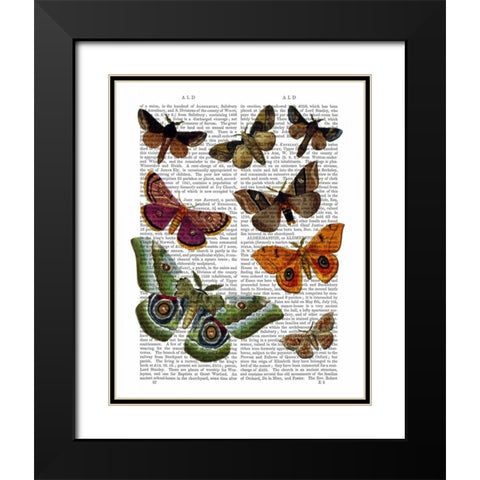 Moth Plate 2 Black Modern Wood Framed Art Print with Double Matting by Fab Funky