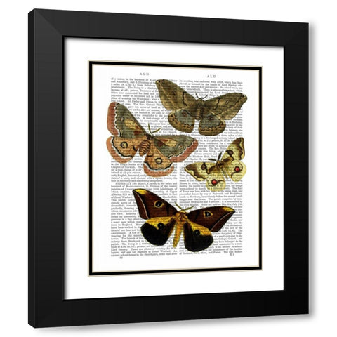 Moth Plate 3 Black Modern Wood Framed Art Print with Double Matting by Fab Funky