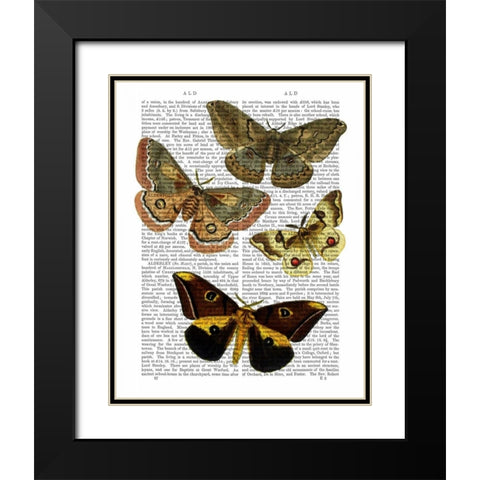 Moth Plate 3 Black Modern Wood Framed Art Print with Double Matting by Fab Funky
