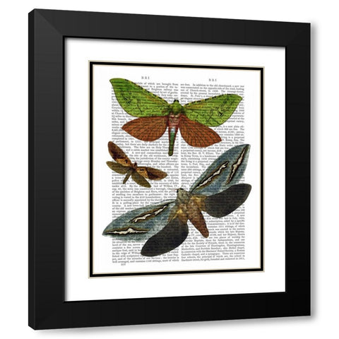 Butterflies 3 Black Modern Wood Framed Art Print with Double Matting by Fab Funky
