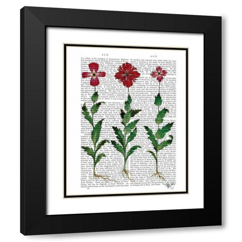 Italian Carnation 1 Black Modern Wood Framed Art Print with Double Matting by Fab Funky