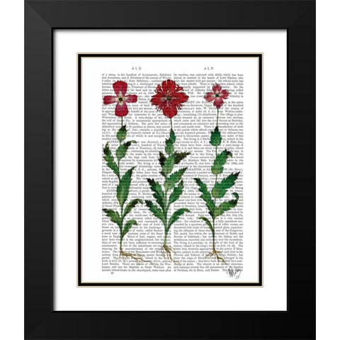 Italian Carnation 1 Black Modern Wood Framed Art Print with Double Matting by Fab Funky