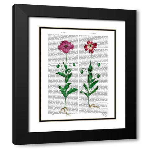 Italian Carnation 3 Black Modern Wood Framed Art Print with Double Matting by Fab Funky