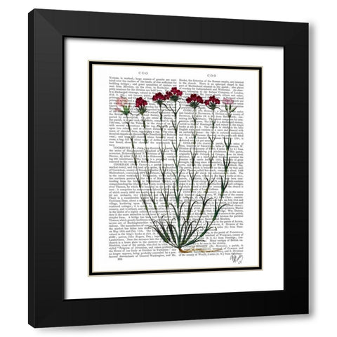 Italian Carnation 4 Black Modern Wood Framed Art Print with Double Matting by Fab Funky