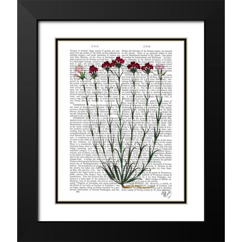 Italian Carnation 4 Black Modern Wood Framed Art Print with Double Matting by Fab Funky
