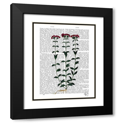 Italian Carnation 6 Black Modern Wood Framed Art Print with Double Matting by Fab Funky