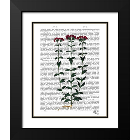 Italian Carnation 6 Black Modern Wood Framed Art Print with Double Matting by Fab Funky