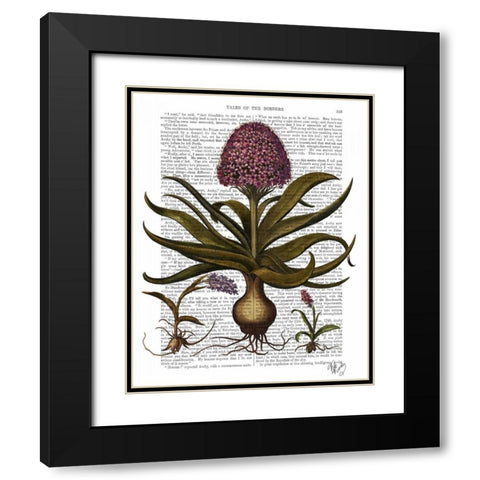 Vintage Hyacinth Black Modern Wood Framed Art Print with Double Matting by Fab Funky