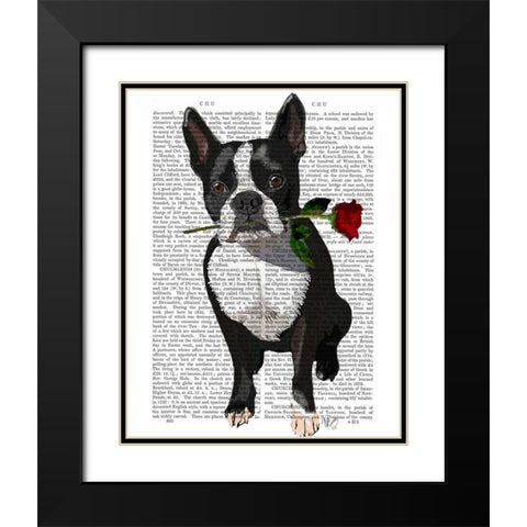 Boston Terrier with Rose in Mouth Black Modern Wood Framed Art Print with Double Matting by Fab Funky