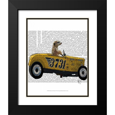 Meerkat in Hot Rod Black Modern Wood Framed Art Print with Double Matting by Fab Funky