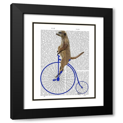 Meerkat On Blue Penny Farthing Black Modern Wood Framed Art Print with Double Matting by Fab Funky