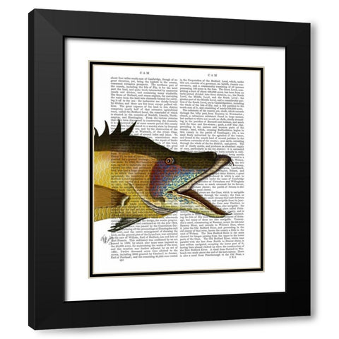 Great Hog Fish Black Modern Wood Framed Art Print with Double Matting by Fab Funky