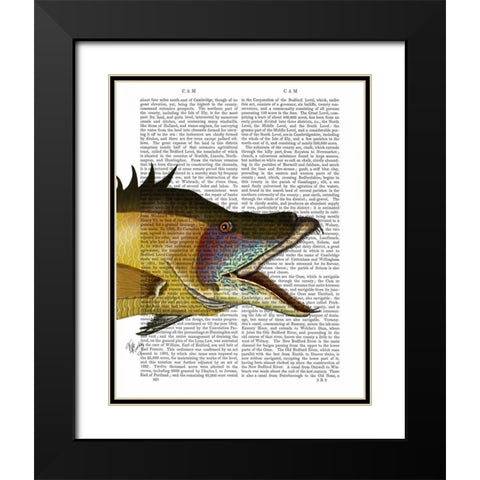 Great Hog Fish Black Modern Wood Framed Art Print with Double Matting by Fab Funky