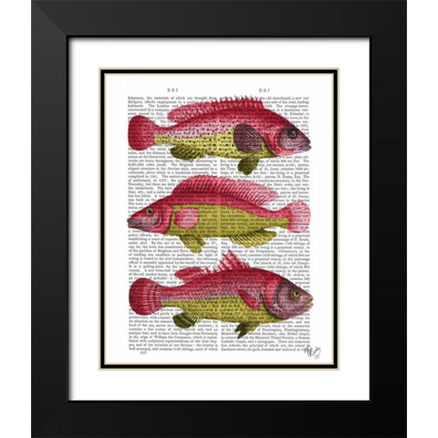 Red and Yellow Fantasy Fish Trio Black Modern Wood Framed Art Print with Double Matting by Fab Funky