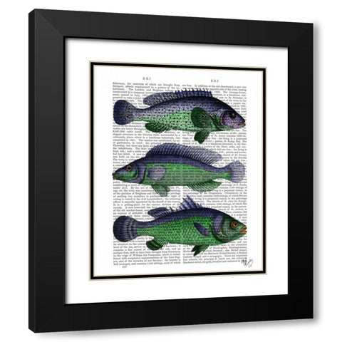 Blue and Green Fish Trio Black Modern Wood Framed Art Print with Double Matting by Fab Funky