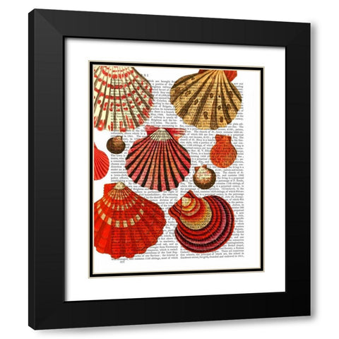 Red Clam Shells Black Modern Wood Framed Art Print with Double Matting by Fab Funky