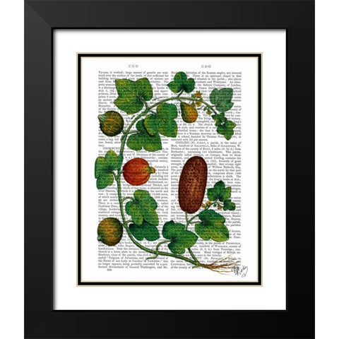 Squash Vine 3 Black Modern Wood Framed Art Print with Double Matting by Fab Funky