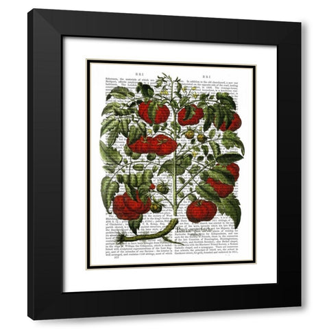 Tomato Plant Black Modern Wood Framed Art Print with Double Matting by Fab Funky