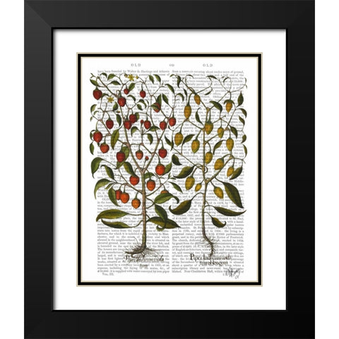 Peppers 1 Black Modern Wood Framed Art Print with Double Matting by Fab Funky