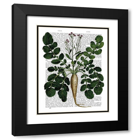 Parsnip 3 Black Modern Wood Framed Art Print with Double Matting by Fab Funky