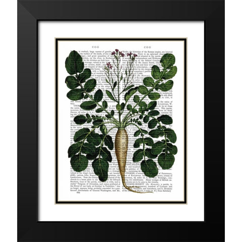 Parsnip 3 Black Modern Wood Framed Art Print with Double Matting by Fab Funky