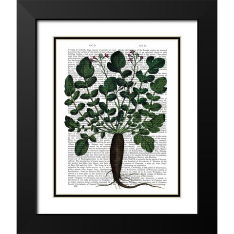 Parsnip 4 Black Modern Wood Framed Art Print with Double Matting by Fab Funky