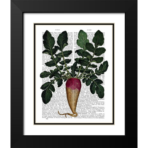 Turnip Black Modern Wood Framed Art Print with Double Matting by Fab Funky