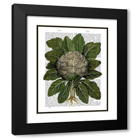 Cauliflower Black Modern Wood Framed Art Print with Double Matting by Fab Funky