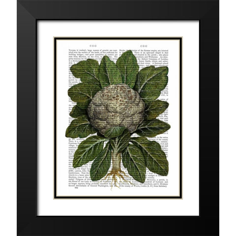 Cauliflower Black Modern Wood Framed Art Print with Double Matting by Fab Funky