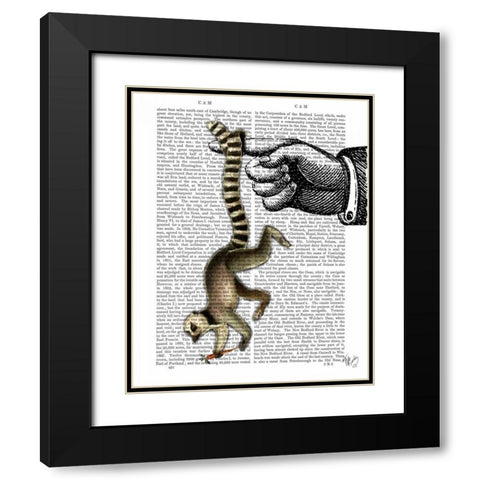 Ring Tailed Lemur on Finger Black Modern Wood Framed Art Print with Double Matting by Fab Funky