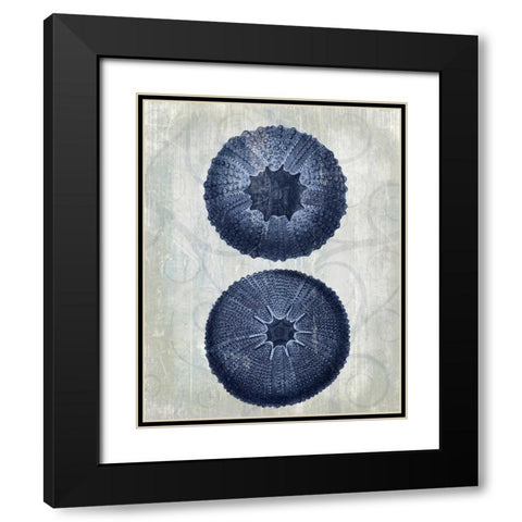 Indigo Blue Sea Urchins b Black Modern Wood Framed Art Print with Double Matting by Fab Funky