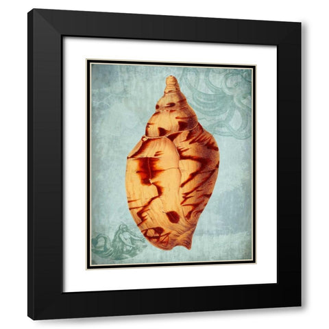 Coastal Life Collection 2 d Black Modern Wood Framed Art Print with Double Matting by Fab Funky