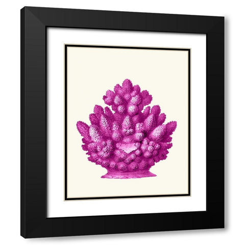 Haeckel Hexacoralla Coral Pink Black Modern Wood Framed Art Print with Double Matting by Fab Funky