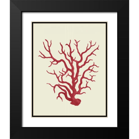 Corals Coral On Cream a Black Modern Wood Framed Art Print with Double Matting by Fab Funky