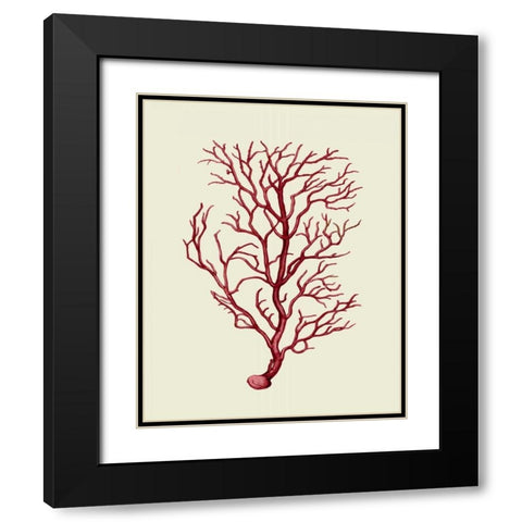 Corals Coral On Cream b Black Modern Wood Framed Art Print with Double Matting by Fab Funky